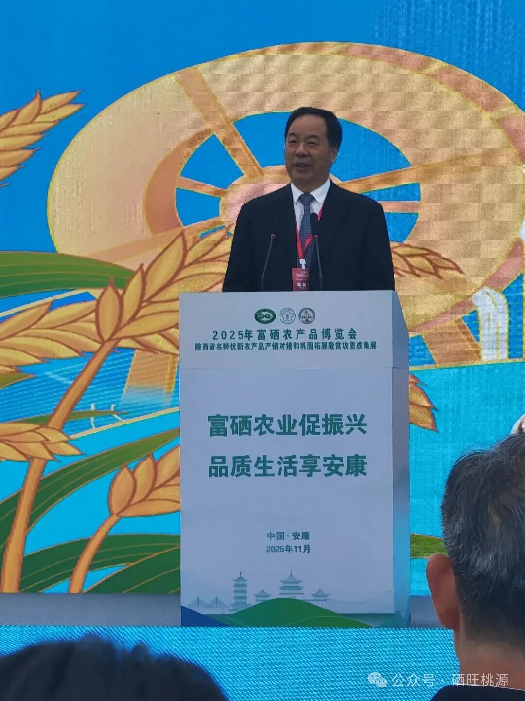 第八屆富硒農(nóng)業(yè)發(fā)展大會在陜西安康舉辦，桃源縣參展成果豐碩